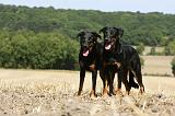 BEAUCERON 747